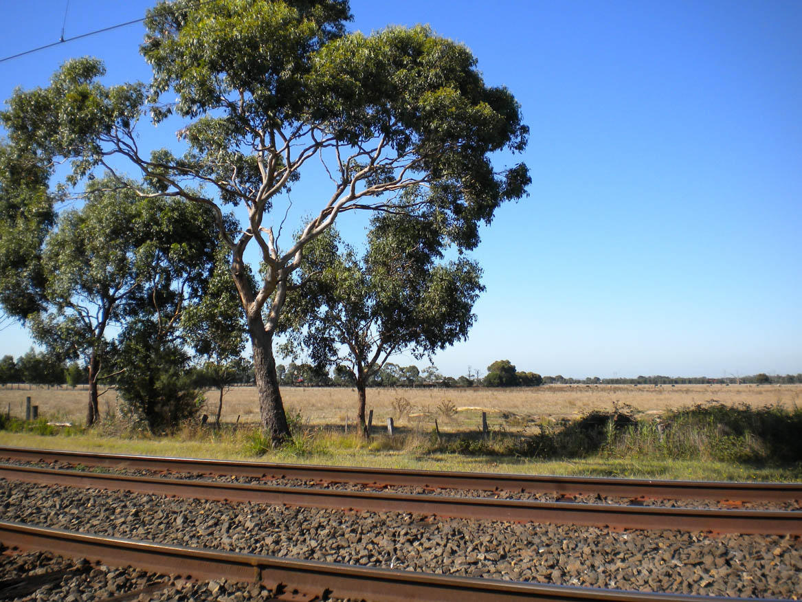 Paddocks near officer train station