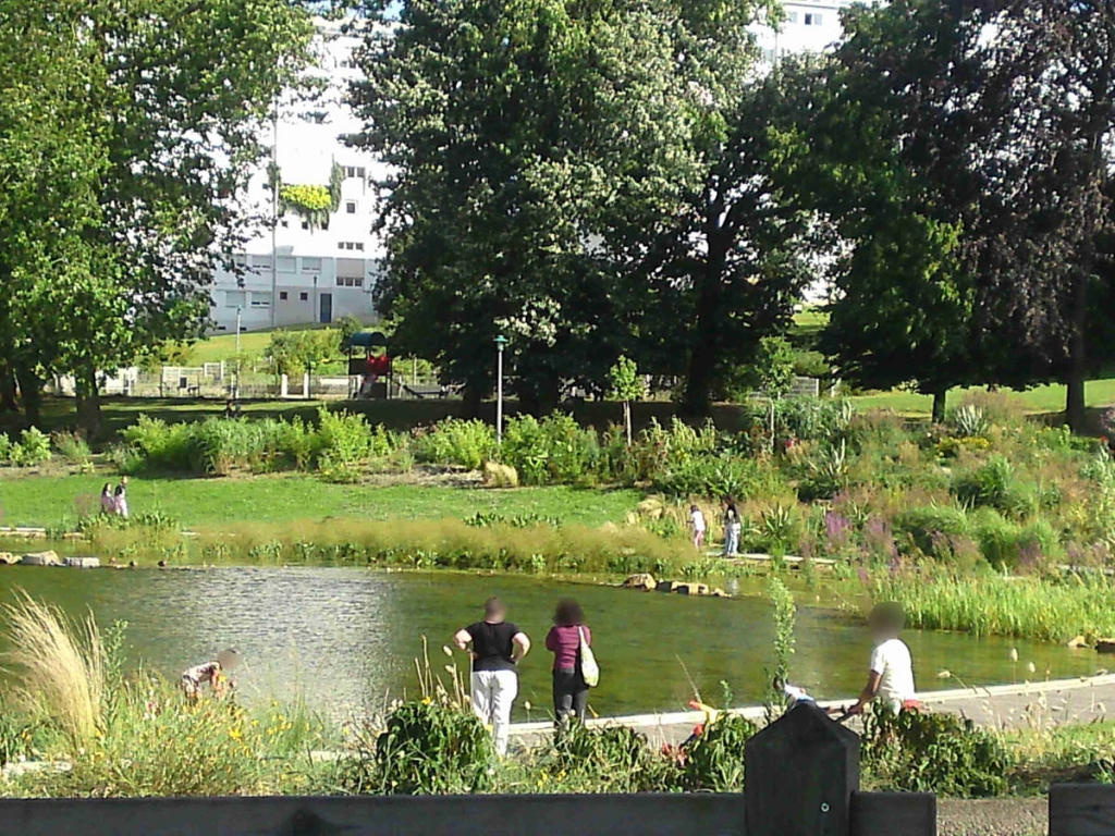 Vue de l’espace vert avec le bassin (orientée vers les bâtiments) | View of the green space with the pond
